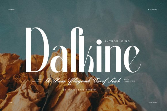 Dalkine: The Modern Display Font for Sophisticated Editorial Design