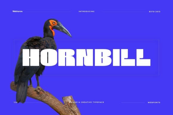 Hornbill: The Bold Display Font for Memorable Business Branding